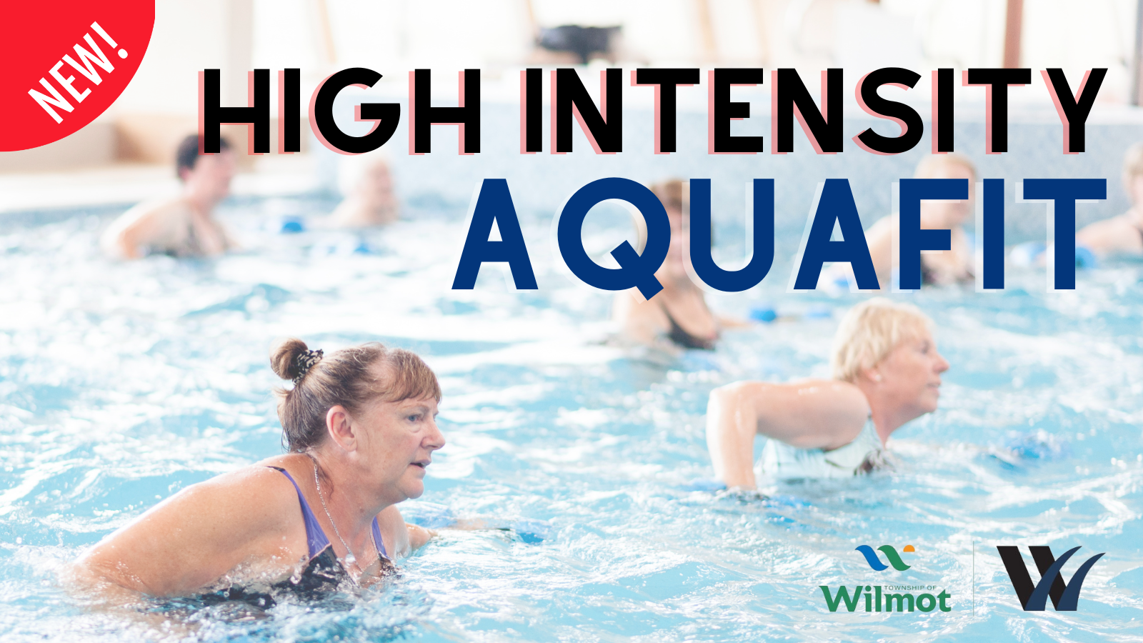 A group of people exercising in a pool